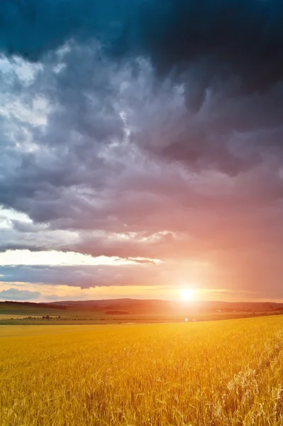 In the country — Stock Photo, Image