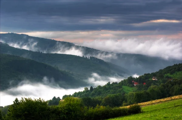 Nebliger Morgen — Stockfoto