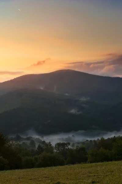 Tåke morgener – stockfoto