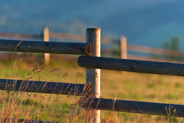 Tierras de pasto por la mañana —  Fotos de Stock