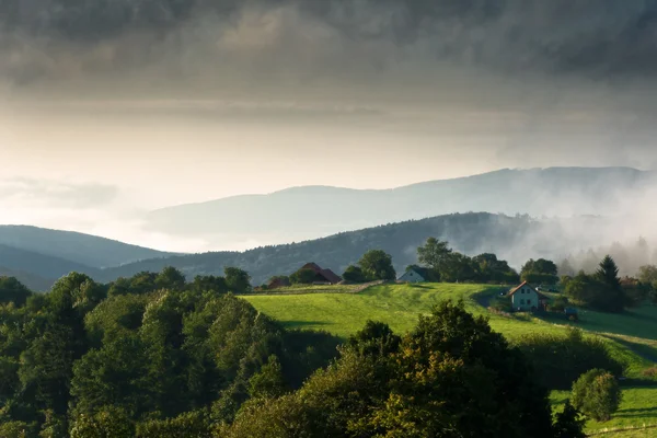 Nebliger Morgen — Stockfoto