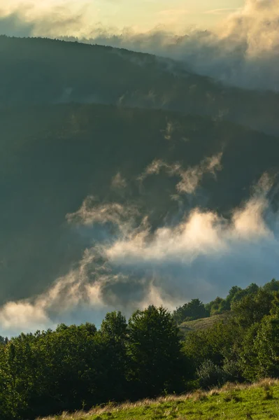 Sisli sabah — Stok fotoğraf