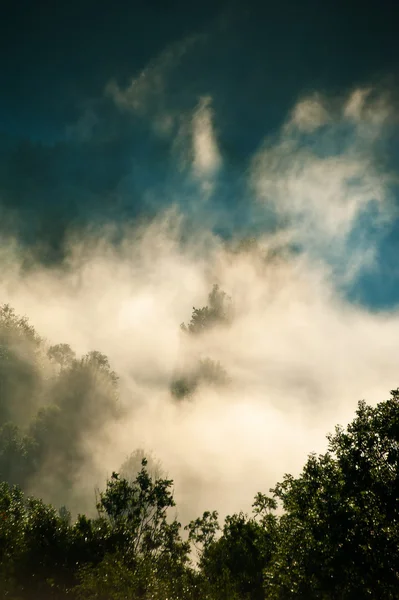 Mañana brumosa — Foto de Stock