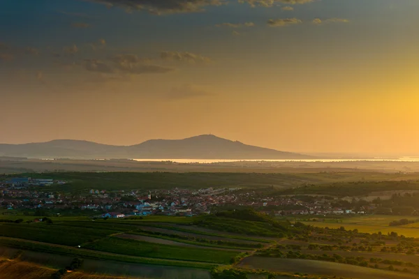 Campo estivo — Foto Stock