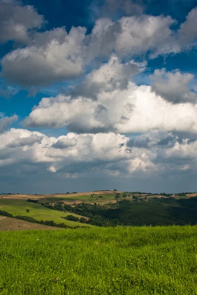 Sommarfält — Stockfoto