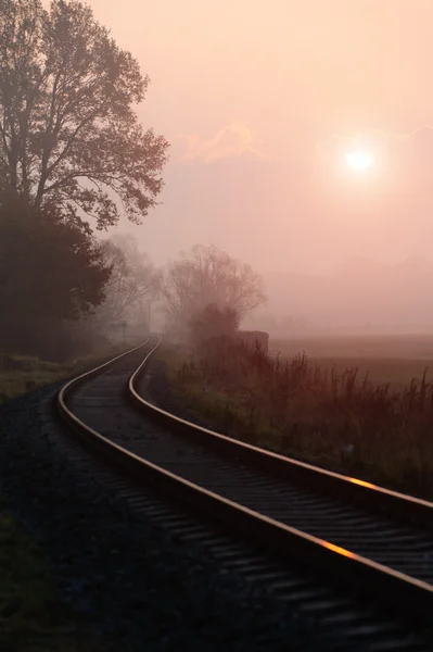 Binario ferroviario durante la mattina nebbiosa autunno — Foto Stock