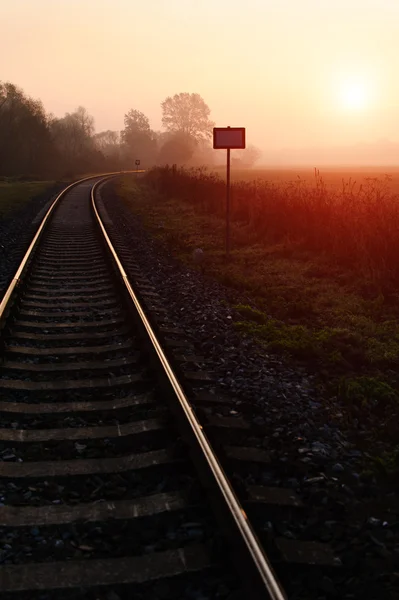 Tren yolu boyunca sisli sonbahar sabahı — Stok fotoğraf