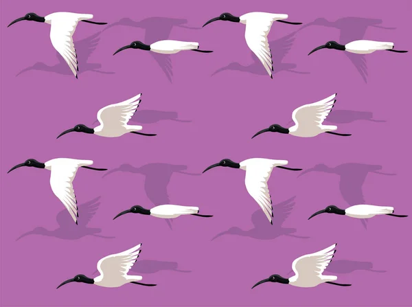 Animation Sequence Australian White Ibis Flying Cartoon Vector Seamless Bakgrund — Stock vektor