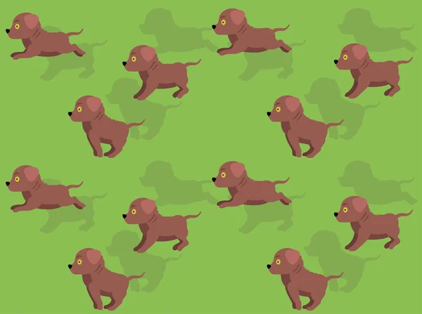 Animal Animation Sequence Dog Running Chesapeake Bay Retriever Cartoon Vector — 스톡 벡터