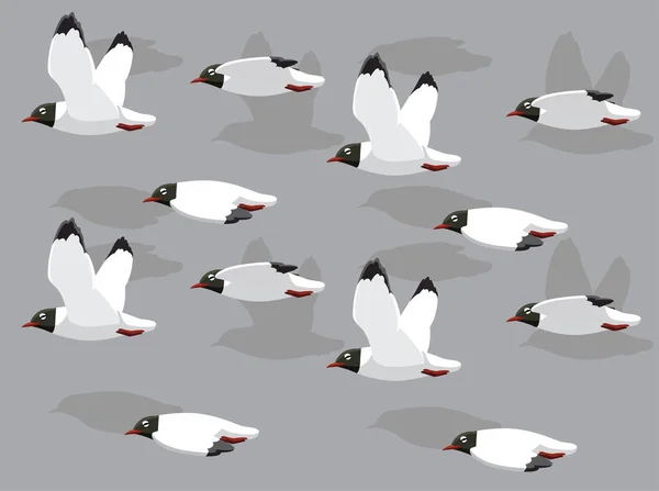 애니메이션 Sequence Black Head Gull Flying Cartoon Vector Seamless Wallpaper — 스톡 벡터