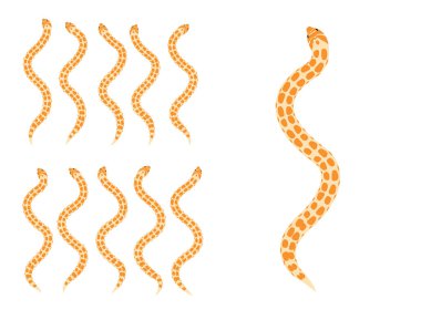 Hayvan Animasyon Dizisi Hognose Yılan Çizgi Filmi Vektörü