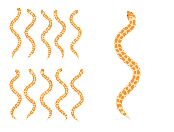 Animační Sekvence Zvířete Hognose Snake Cartoon Vector — Stockový vektor