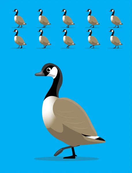 Sequência Animação Animal Canadá Geese Walking Cartoon Vector — Vetor de Stock