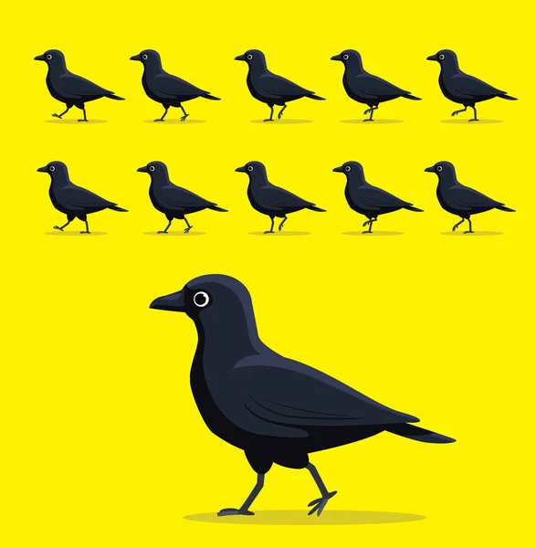 动物动画序列美国乌鸦走行漫画家 — 图库矢量图片