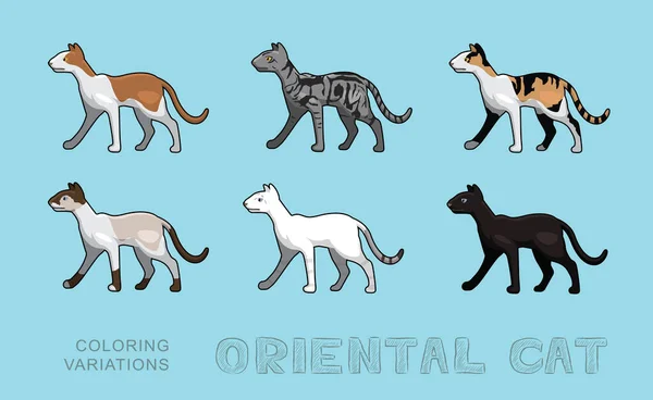 Cat Oriental Coloring Variations Vector Illustration — Stock Vector