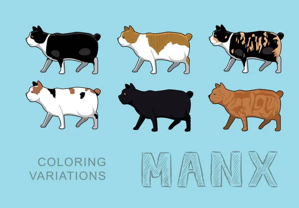 Cat Manx Coloring Variations Vector Illustration — Stock Vector
