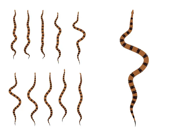 Secuencia Animación Animal Boa Constrictor Vector Dibujos Animados — Vector de stock