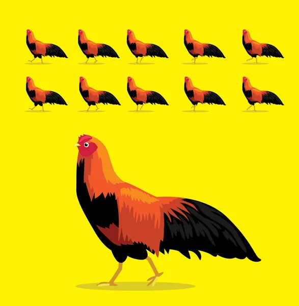 Animation Animale Séquence Cubalaya Coq Poulet Cartoon Vector — Image vectorielle