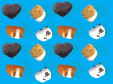 Gine Domuzu Çizgi Film Karakterini Tertemiz Duvar Kağıdı Seti 2