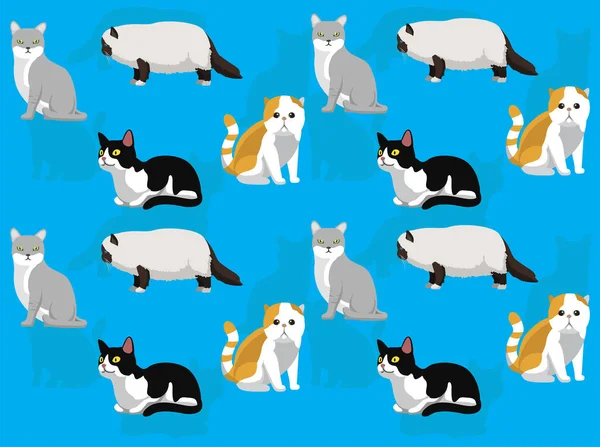 Çeşitli Kedi Türleri Çizgi Film Karakteri Kusursuz Duvar Kağıdı Seti — Stok Vektör