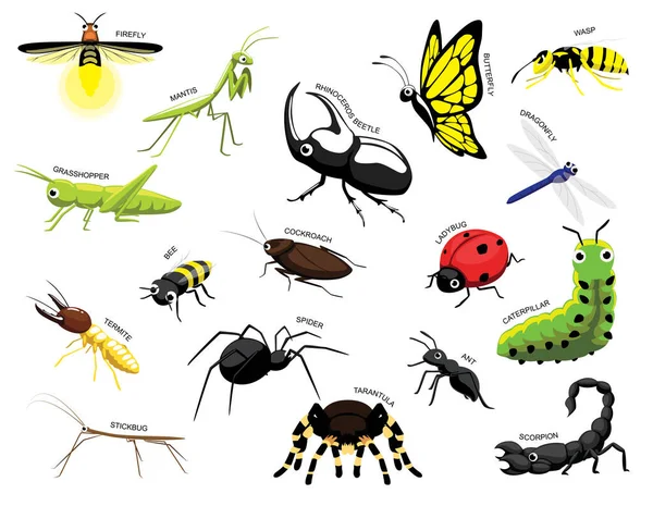 Lindo Conjunto Ilustración Vectorial Dibujos Animados Varios Insectos Identificar — Vector de stock