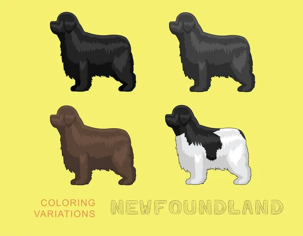 Hund Newfoundland Färgning Variationer Tecknad Vektor Illustration — Stock vektor