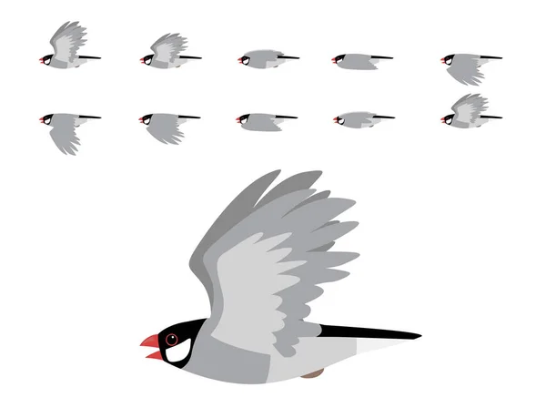 Java Sparrow Flying Animation Cute Cartoon Vector — стоковый вектор