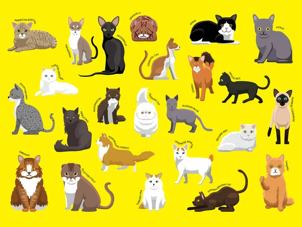 Várias Raças Gatos Com Nome Conjunto Personagens Desenhos Animados —  Vetores de Stock