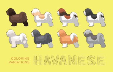 Köpek Havan Renk Çeşitlemeleri Çizgi Film Vektör İllüstrasyonu
