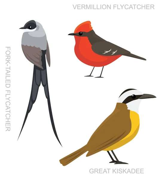 Bird Tyrant Flycatcher Set Cartoon Vector Ilustração —  Vetores de Stock