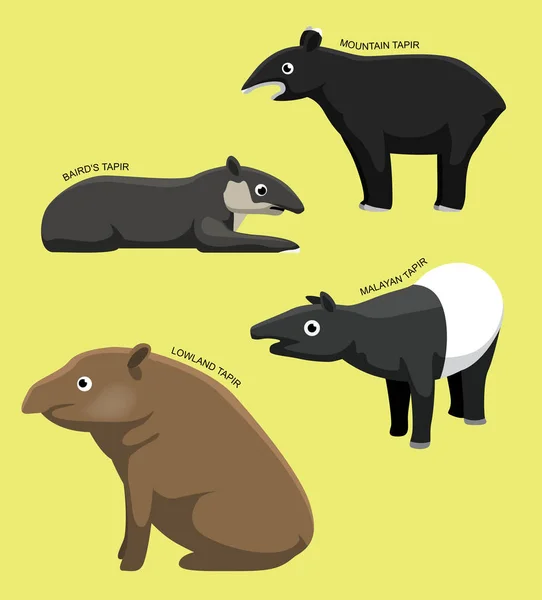 Tapir Mit Namen Cartoon Vector Illustration — Stockvektor