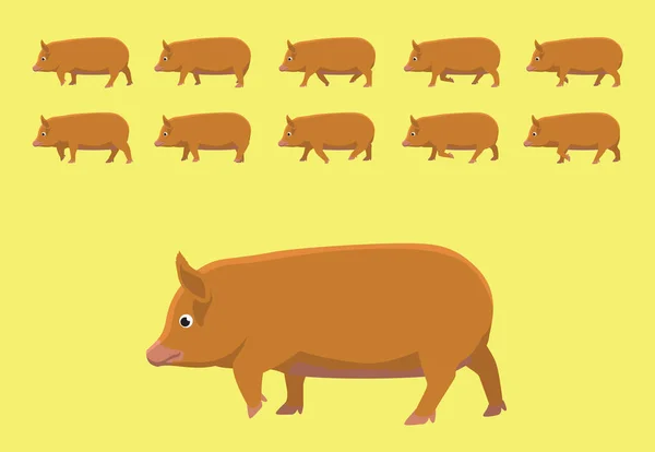 Cerdo Tamworth Walking Animación Dibujos Animados Vector Ilustración — Vector de stock
