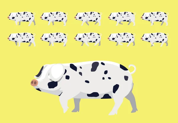 Pig Gloucester Old Spot Walking Animation Cartoon Vector Illustration — Stock Vector
