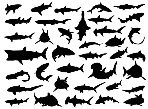 Διάφορες Σιλουέτες Καρχαριών Εικονογράφηση Διάνυσμα — Διανυσματικό Αρχείο