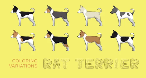 Dog Rat Terrier Coloring Variations Cartoon Vector Illustration — Stock Vector