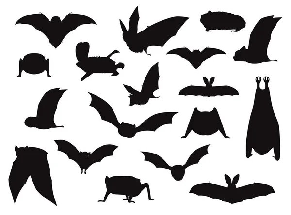 各种蝙蝠轮廓矢量图解 — 图库矢量图片