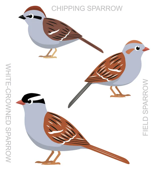 Niedliche Vogel Chipping Sparrow Set Cartoon Vector — Stockvektor