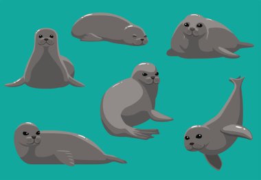 Hayvan çizgi filmi Monk Mühür Çeşitli Pozisyonlar Vektör İllüstrasyonu