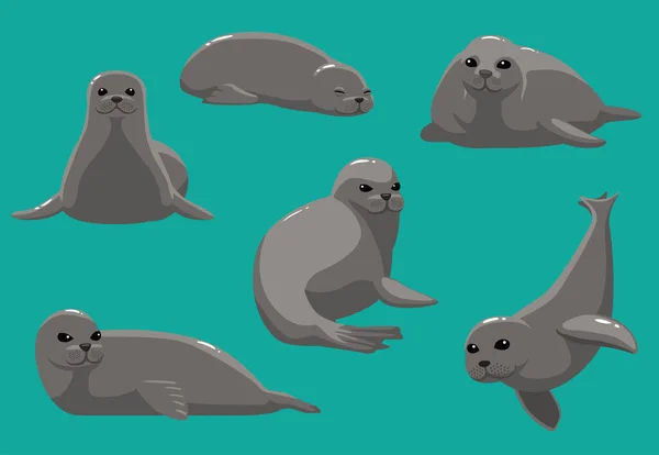 Animal Cartoon Monk Seal Vários Poses Ilustração Vetorial — Vetor de Stock