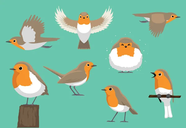 動物漫画の鳥様々なポーズヨーロッパのロビンベクトルイラスト — ストックベクタ