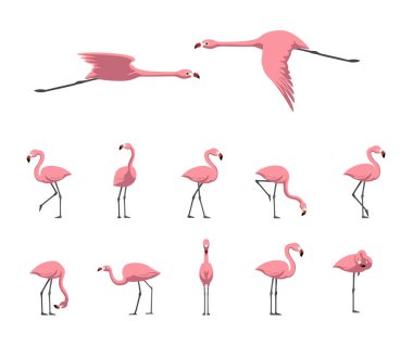 Pembe Flamingo Yürüyen Uçan Çeşitli Pozisyonlar Çizgi Film Şirin Vektör İllüstrasyonu