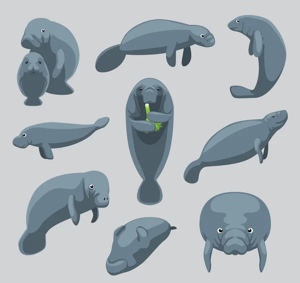 Animal Manatí Dugong Nueve Poses Dibujos Animados Vector Lindo — Vector de stock