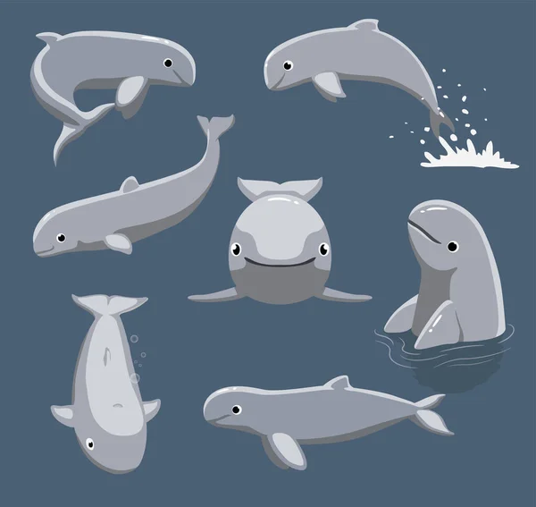 Ζώο Irrawaddy Dolphin Poses Cartoon Vector Χαριτωμένο — Διανυσματικό Αρχείο