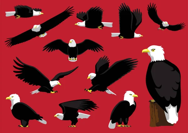 Bald Eagle Voando Poses Cartoon Vector Ilustração — Vetor de Stock