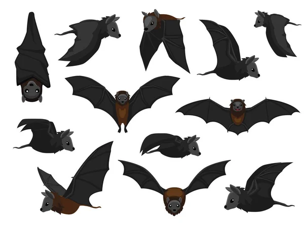 Çeşitli Yarasa Uçan Tilkiler Sevimli Çizgi Film Vektör İllüstrasyonu