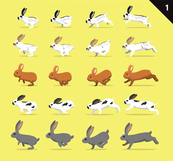 Animación Animal Secuencia Varios Conejo Dibujos Animados Vector Mover Conjunto — Vector de stock