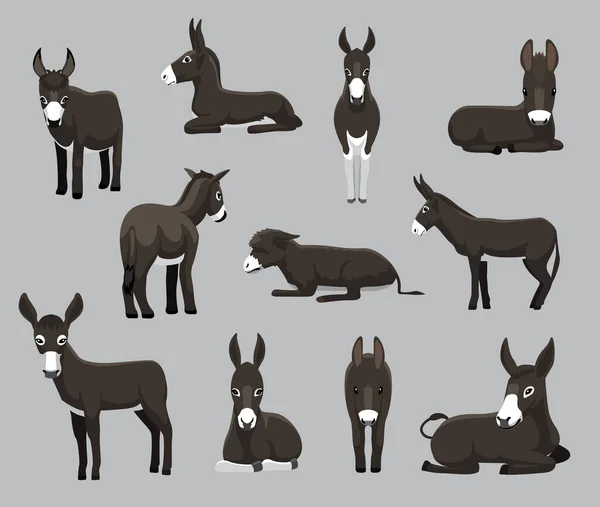 Dibujos Animados Burro Negro Varios Poses Dibujos Animados Vector Ilustración — Archivo Imágenes Vectoriales