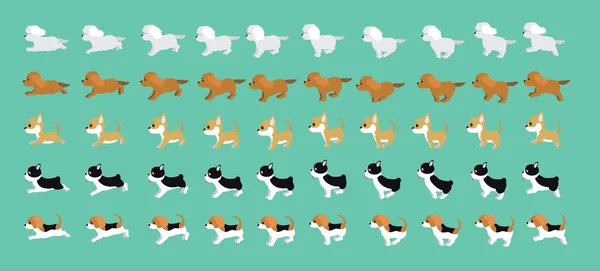 Köpek Maltese Cocker Spaniel Chihuahua Boston Teriyer Kartalı Yürüyen Çizgi — Stok Vektör