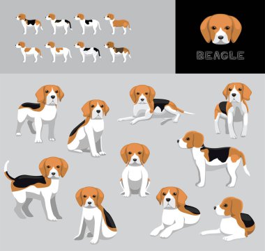 Köpek Beagle Çizgi Film Vektör Resimlendirme Renk Değişikliği Ayarları
