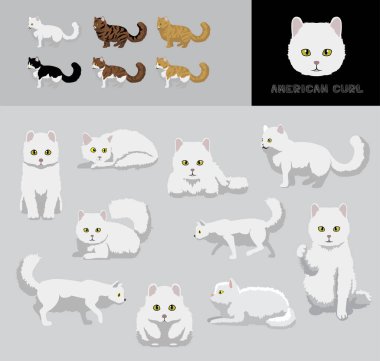 Kedi Amerika Kıvrımlı Çizgi Film Vektör Resimleri Renk Değişikliği Ayarları